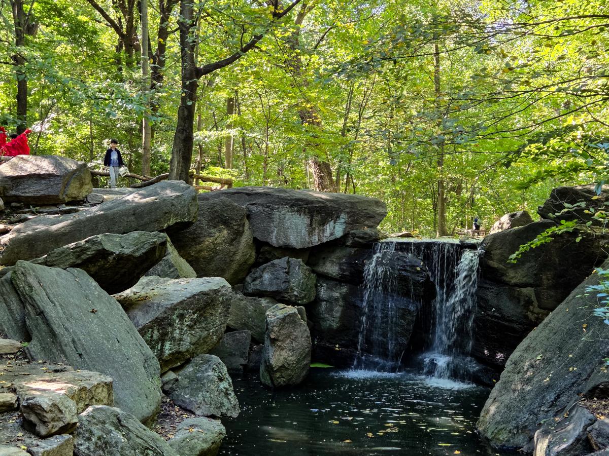 One of the waterfalls; note the cardinal in the corner