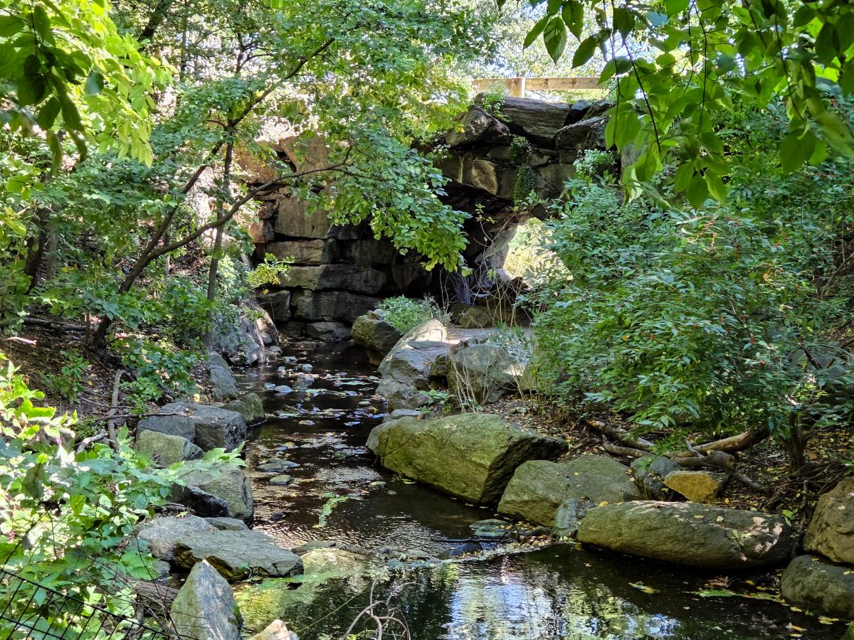 A babbling brook