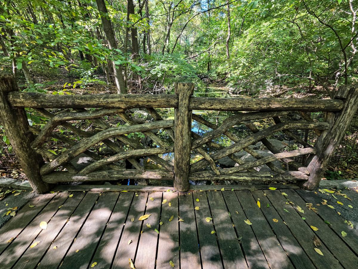 A Victorian style rustic fence over a stream