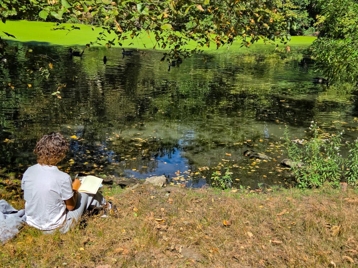 Reading and watching the ducks