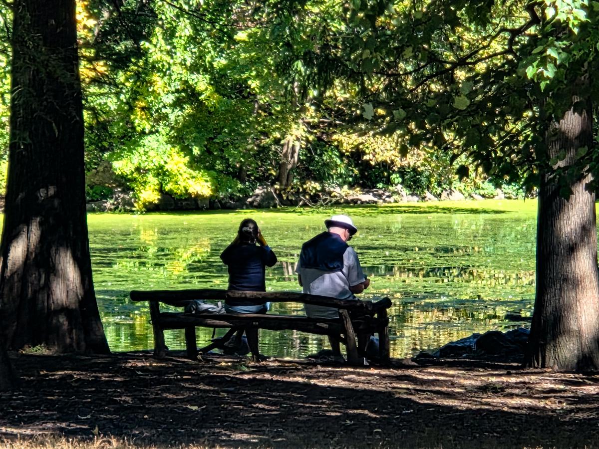 Birdwatchers sitting on a rustic chair