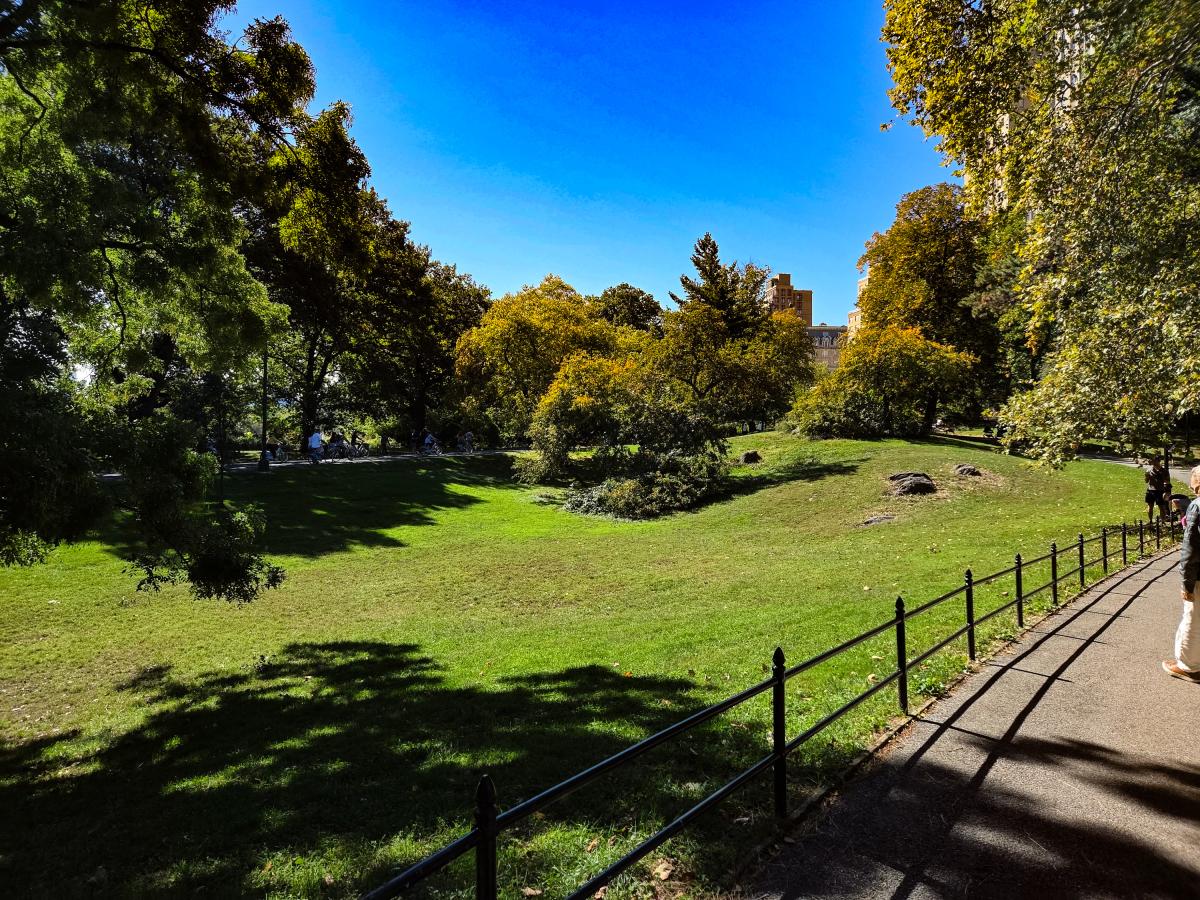 View from a path