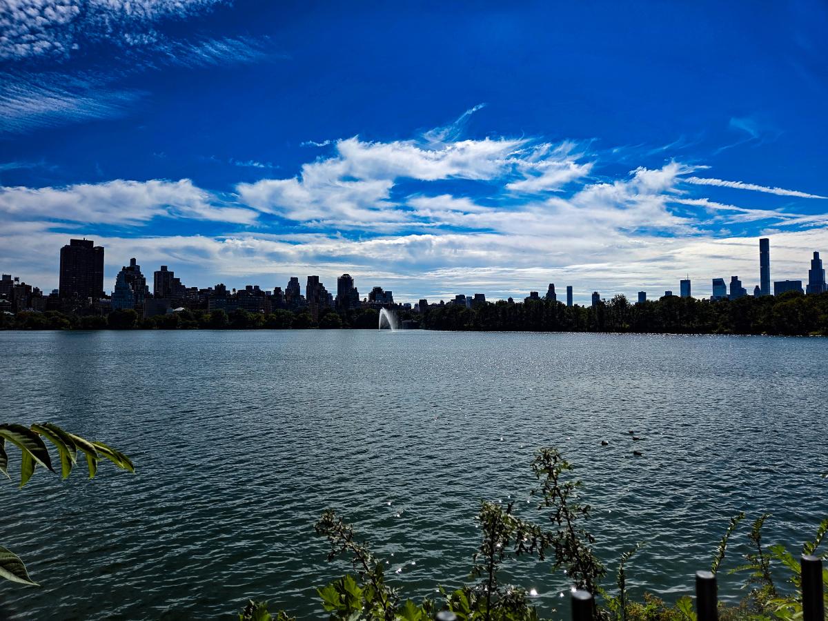 The Reservoir