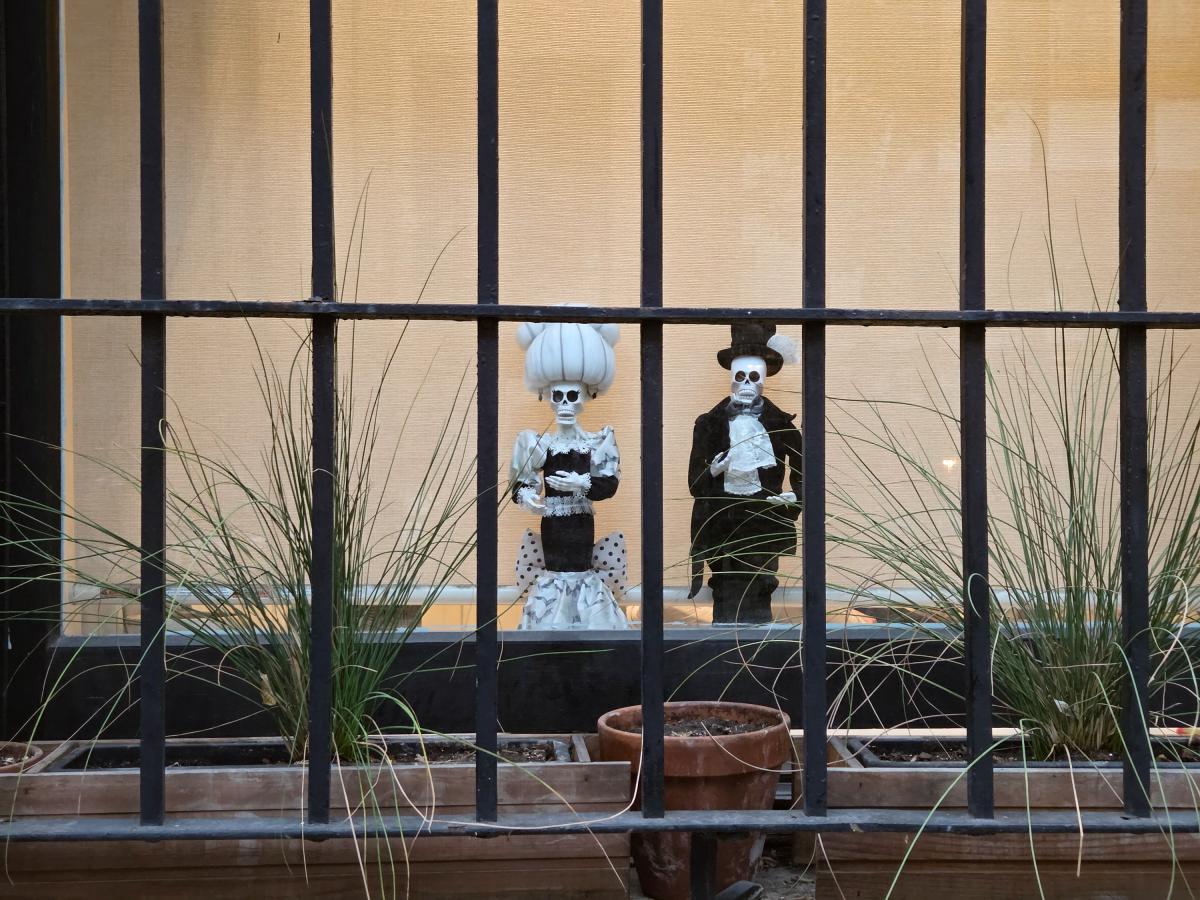  The most elegant of displays - inside a ground floor living room window