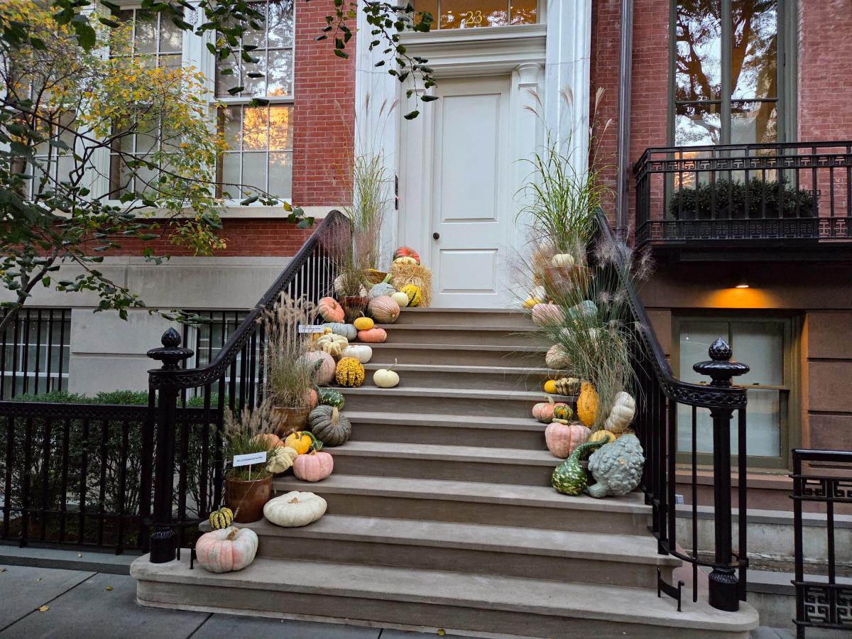 Who knew gourds and pumpkins came in such an assortment of colors