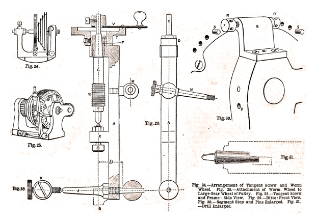 Issue No. 14 - Published June 22, 1889 7