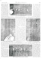 Issue No. 62 - Published May 24, 1890 12