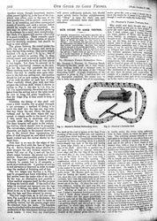 Issue No. 83 - Published October 18, 1890 12
