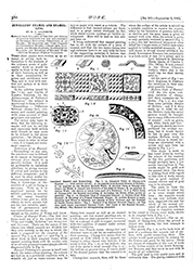 WORK No. 181 - Published September 3 1892  10