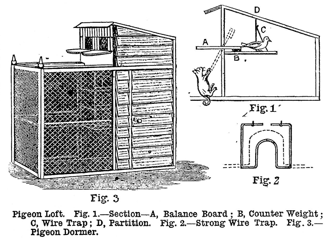 WORK No. 192 - Published November 19 1892  6