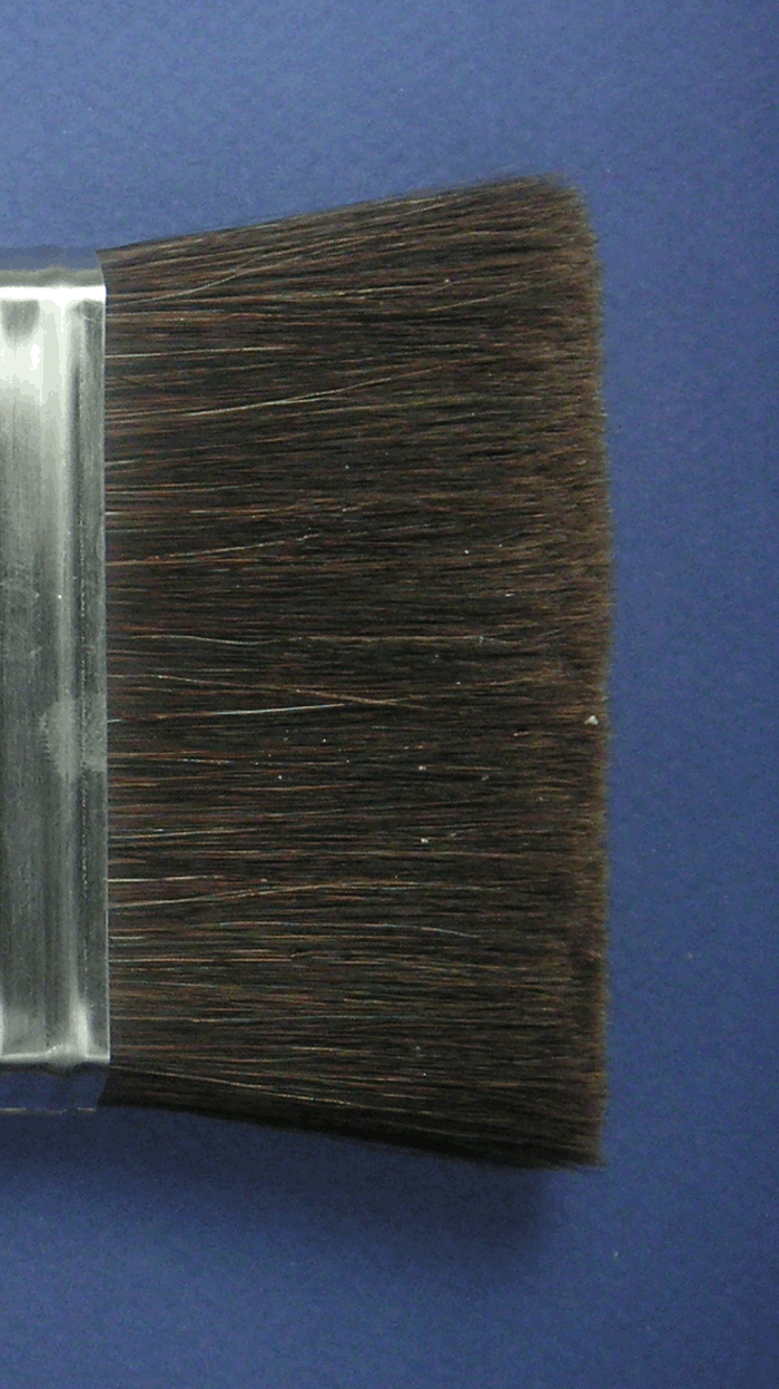 European brown ox hair