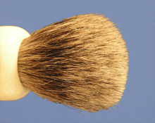 Close-up of Genuine Badger Brush Hair