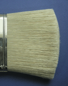 Close-up of China Bristle Brush Hair