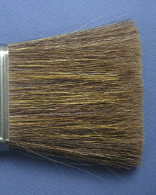Close-up of China Ox Hair