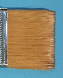 Close-up of Taklon Brush Hair