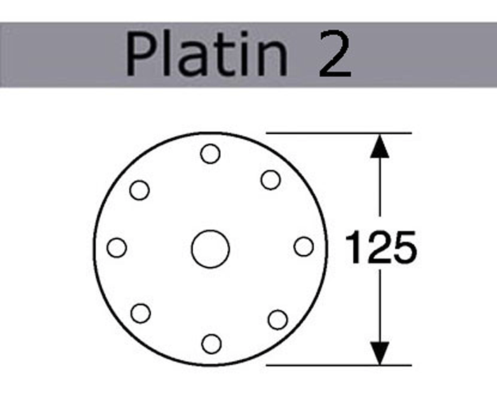 Festool Platin 2 5&quot; Diameter Sanding Disks
